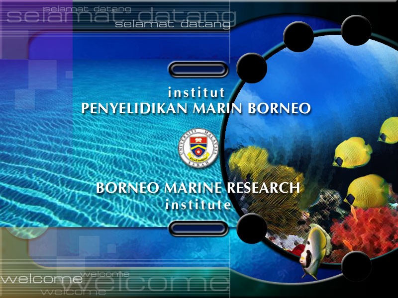 Interactive Information Systems